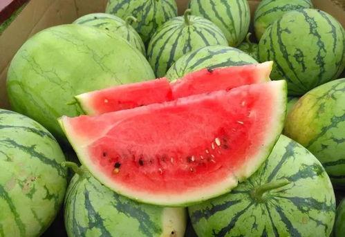 天津吃瓜爆料今天视频,今日视频揭秘幕后真相  第1张