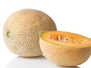 哈密瓜产妇可以吃吗,产妇适宜的滋补佳品  第1张