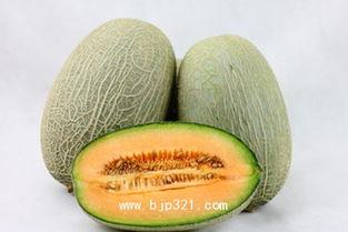 哈密瓜产妇可以吃吗,产妇适宜的滋补佳品  第3张