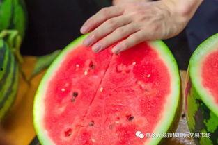 全国大学吃瓜,校园热点事件大盘点 第2张 全国大学吃瓜,校园热点事件大盘点 第2张