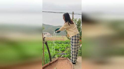 下雨吃瓜的少年,少年雨后吃瓜的悠闲时光  第3张