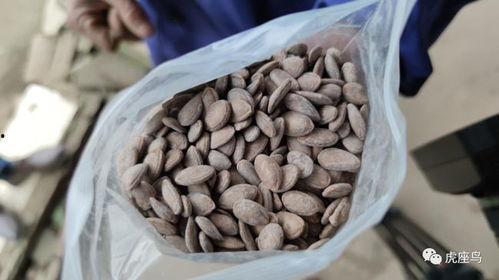 怎么利用吃瓜挣钱,揭秘如何从网络热点中掘金 第2张 怎么利用吃瓜挣钱,揭秘如何从网络热点中掘金 第2张