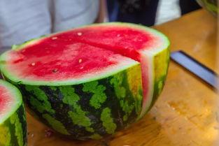 广西建设学院吃瓜,校园“吃瓜”盛况，揭秘校园生活趣味瞬间  第1张