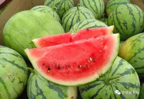 今日吃瓜热门大瓜51,揭秘51号大瓜背后的惊人真相  第2张