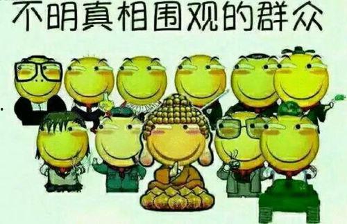 吃瓜群众OZS,揭秘娱乐圈幕后故事  第3张