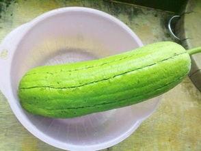 水瓜小孩可以吃不,营养健康两不误 第1张 水瓜小孩可以吃不,营养健康两不误 第1张