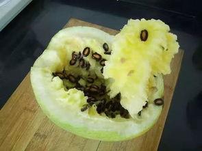 吃炒籽瓜的危害,健康饮食需谨慎  第2张