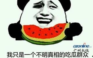 吃瓜不说瓜什么意思  第3张