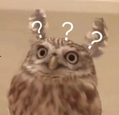 谢安然吃瓜,揭秘娱乐圈幕后真相 第3张 谢安然吃瓜,揭秘娱乐圈幕后真相 第3张