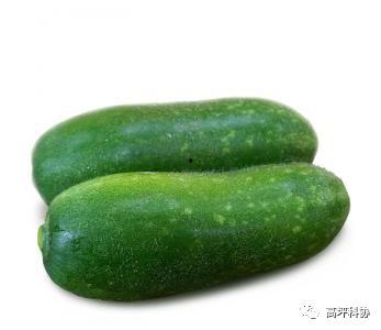 咳嗽瓜怎么吃,咳嗽瓜的多样食用方法与营养功效  第3张