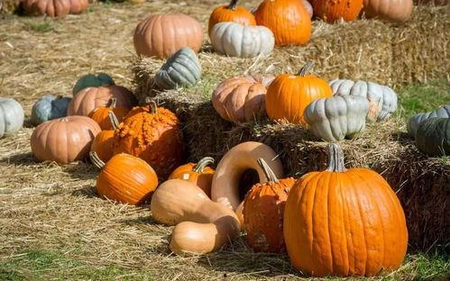 夸克吃瓜的群众 第3张 夸克吃瓜的群众 第3张