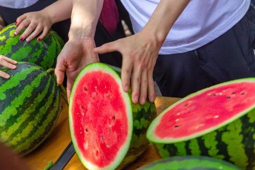 广州学院吃瓜,校园吃瓜文化盛行,揭秘校园热点事件背后的故事 第1张 广州学院吃瓜,校园吃瓜文化盛行,揭秘校园热点事件背后的故事 第1张