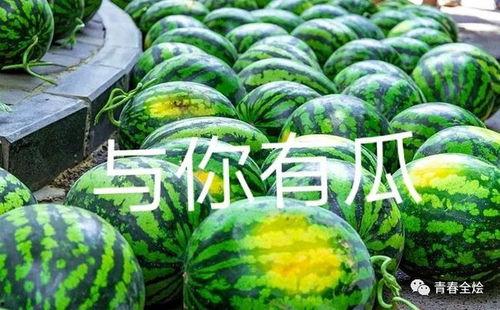 广州学院吃瓜,校园吃瓜文化盛行,揭秘校园热点事件背后的故事 第3张 广州学院吃瓜,校园吃瓜文化盛行,揭秘校园热点事件背后的故事 第3张