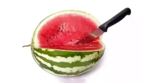 高级的吃瓜人,揭秘高级吃瓜者的智慧人生  第2张