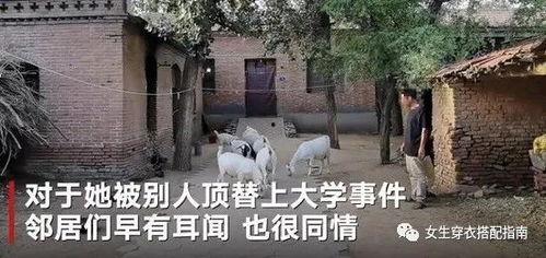 濮阳老城吃瓜事件始末 第3张 濮阳老城吃瓜事件始末 第3张