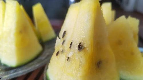 51吃瓜密码多少,探寻网络热点的背后真相 第2张 51吃瓜密码多少,探寻网络热点的背后真相 第2张