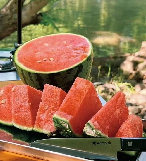 51吃瓜密码多少,探寻网络热点的背后真相 第3张 51吃瓜密码多少,探寻网络热点的背后真相 第3张