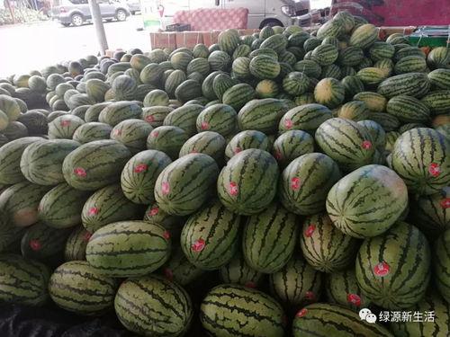 吃瓜活动图片大全,趣味横生的夏日消暑活动大盘点  第3张