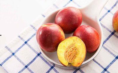 吃瓜过敏起红点  第1张